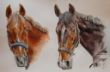 2016-11-18 AUFTRAG 2 Pferdeportraits; Aquarell, wasserver. Bleistift, weiße Rotring Tusche, 640g, extraweiß, 38 x 56 K.jpg